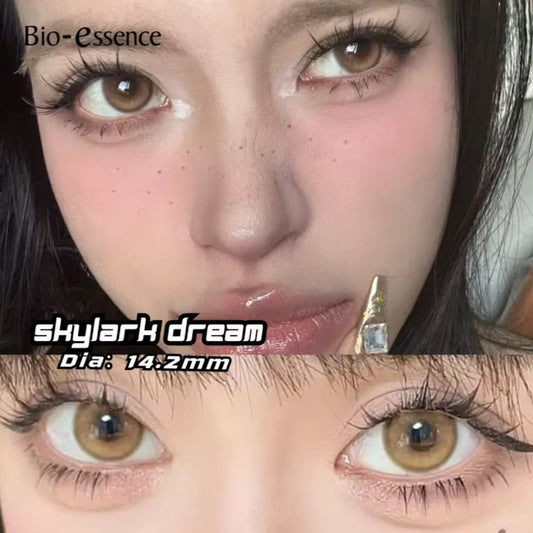 Skylark Dream 2